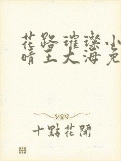 花路璀璨小说芷晴王大海免费阅读