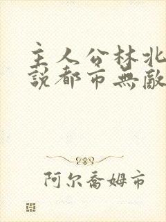 主人公林北的小说都市无敌战神