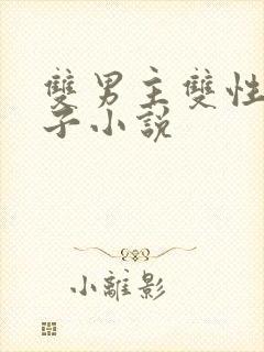 双男主双性别产子小说封面