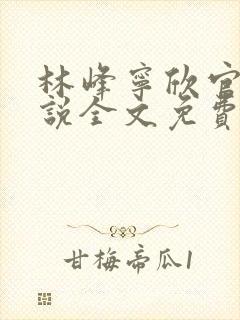 林峰宁欣官场小说全文免费阅读