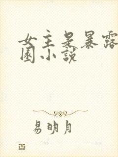 女主是暴露的校园小说封面