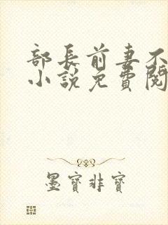 部长前妻不承欢小说免费阅读