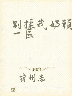 别揉我奶头嗯啊一区封面