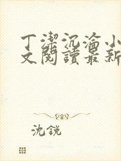 丁洁沉沦小说全文阅读最新章节更新封面