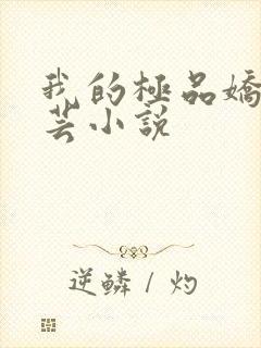 我的极品娇妻苏芸小说