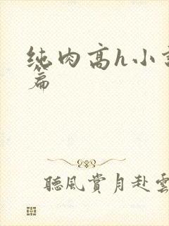纯肉高h小说短篇