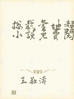 总裁爹地超给力小说免费阅读全文封面