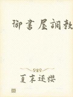 御书屋调教小说