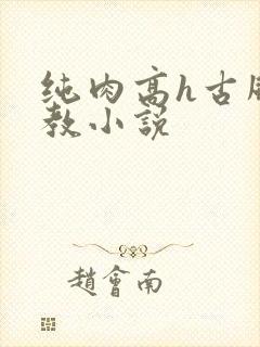 纯肉高h古风调教小说