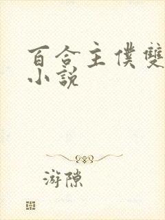 百合主仆双女主小说封面