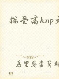 总受高hnp文