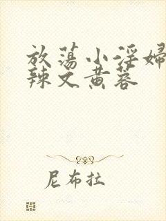 放荡小淫妇h肉辣文黄蓉