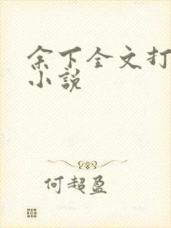 余下全文打不开小说