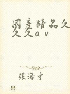 国产精品久久久久久aⅴ