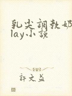 乳尖调教奶头play小说