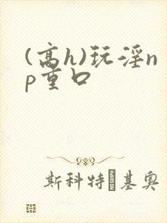 (高h)玩淫np重口