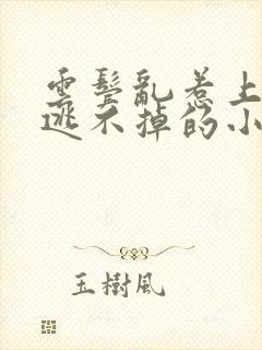 云鬓乱惹上权臣逃不掉的小说