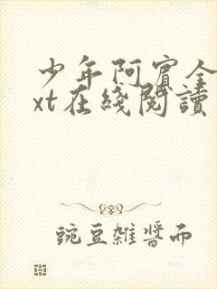 少年阿宾全文txt在线阅读封面