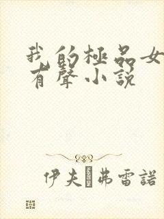 我的极品女老师有声小说