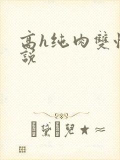 高h纯肉双性小说封面