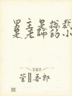 男主是总裁女主是老师的小说