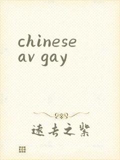 chineseav gay封面