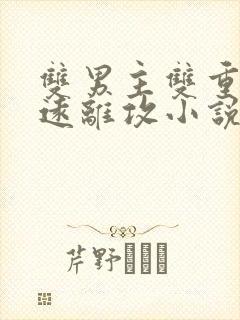 双男主双重生受远离攻小说封面