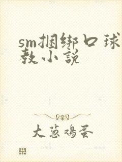 sm捆绑口球调教小说