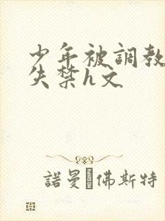 少年被调教爽到失禁h文