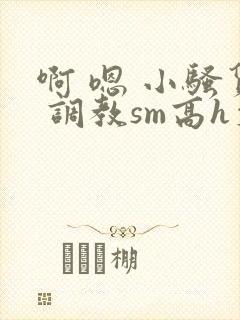 啊 嗯 小骚货 调教sm高h文
