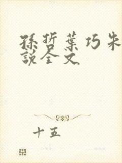 孙哲叶巧朱颜小说全文