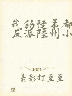 我的徒弟都是大反派陆州小说完本