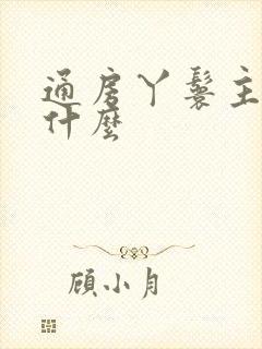 通房丫鬟主要做什么