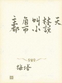 主角叫林天羽的都市小说