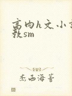 高肉h文小说调教sm