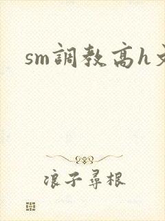 sm调教高h文封面