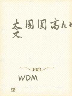 大团圆高h肉辣文封面