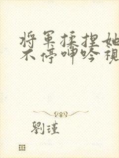 将军揉捏她两乳不停呻吟视频