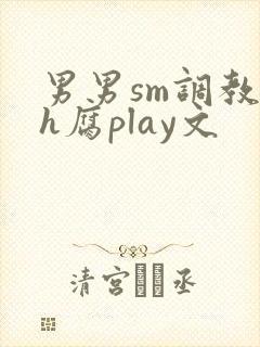 男男sm调教高h腐play文