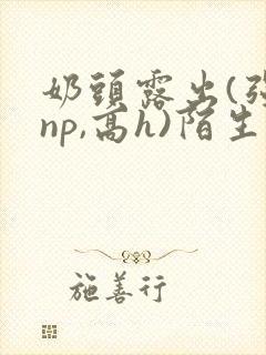 奶头露出(强jnp,高h)陌生人小说