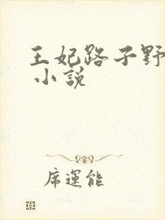 王妃路子野要宠 小说封面