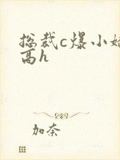 总裁c爆小娇妻高h