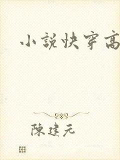 小说快穿高h