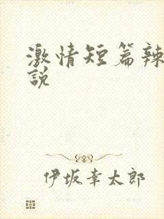 激情短篇辣文小说