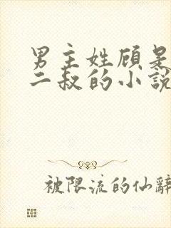 男主姓顾是女主二叔的小说