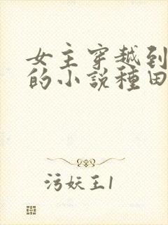 女主穿越到古代的小说种田文