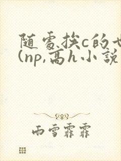 随处挨c的世界(np,高h小说