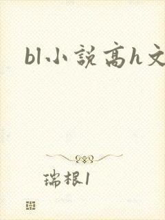 bl小说高h文