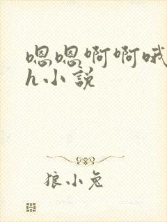 嗯嗯啊啊哦哦高h小说