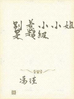 别惹小小姐后爸是超级封面